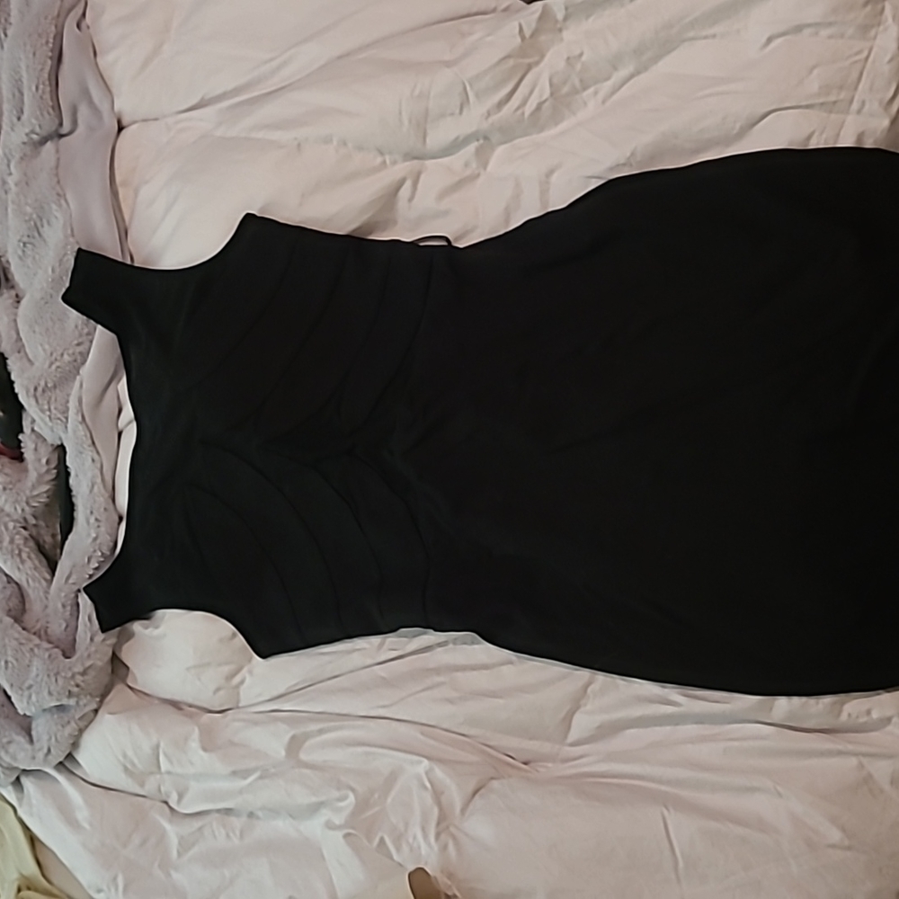 Bebe mesh front dress